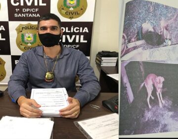 Mulher que deixou cão morrer de fome é indiciada por maus-tratos
