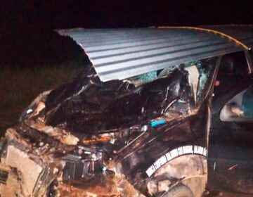 Acidente com búfalo deixa 3 feridos na BR-156