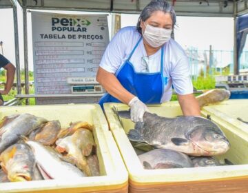 50 toneladas de peixes; veja tabela de preços e locais