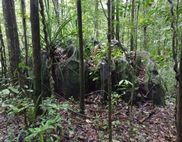 Mistério sobre meninos em Calçoene completa 3 meses