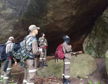 Busca pelos garotos desaparecidos entra no 15º dia