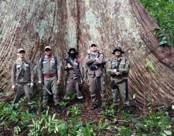 Após novas pistas, Bombeiros retomam buscas por meninos perdidos