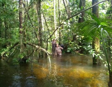 Garotos desaparecem em floresta no interior do Amapá