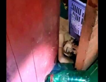 Filho deficiente era trancado enquanto mãe vendia drogas, diz polícia
