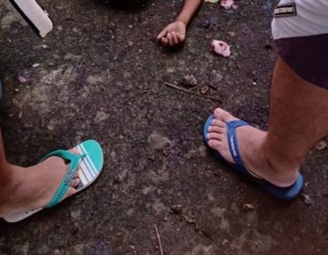 Criança cai de cabeça na calçada após subir em jambeiro
