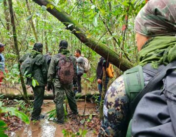 Equipes voltam a encontrar rastros dos meninos perdidos