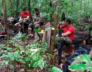 Meninos perdidos: Comissão de Direitos Humanos da OAB vai a Calçoene