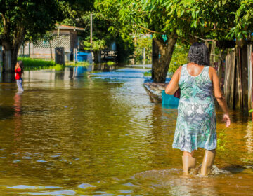 Rio Jari sobe e número de desabrigados aumenta