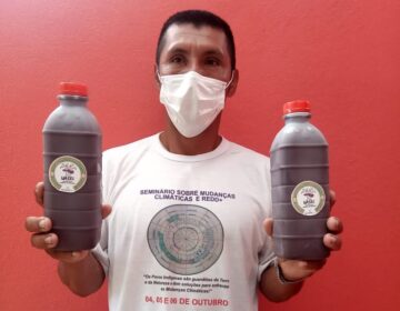 Uasei: açaí indígena gera renda a famílias e sustentabilidade no Amapá