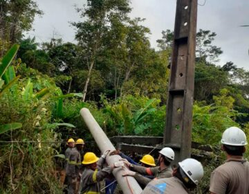 Queda de árvore provoca apagão em 2 municípios há 36 horas