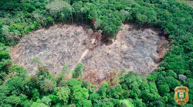Desmatamento causa prejuízo de R$ 1 mil por dia no Amapá, diz Ministério Público
