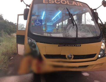 Animais fogem de fazenda e provocam acidente com ônibus de pacientes do Mais Visão