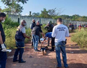 Polícia prende suspeitos por degola no Macapaba; segundo corpo é encontrado na mata
