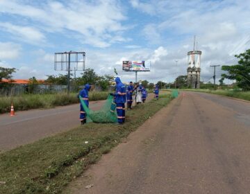 No Amapá, presidiários são treinados para atuar na limpeza e manutenção de rodovias