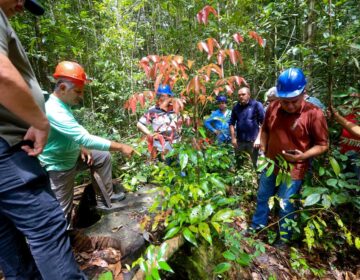 A polêmica competência do Amapá sobre a Flota