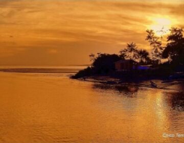 E-book: Chico Terra traz o melhor da Amazônia em imagens deslumbrantes