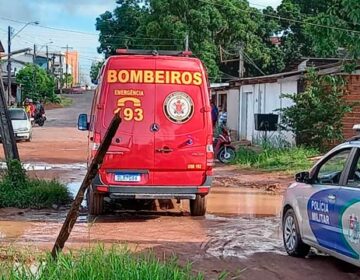 Pitbull furioso fere gravemente o dono e é sacrificado pela PM