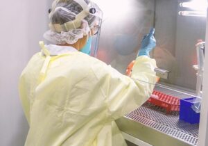 Testes confirmam três variantes do coronavírus no Amapá