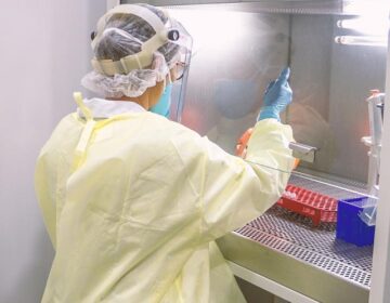 Testes confirmam três variantes do coronavírus no Amapá