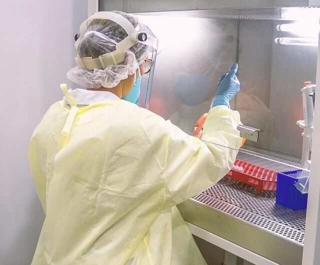 Testes confirmam três variantes do coronavírus no Amapá