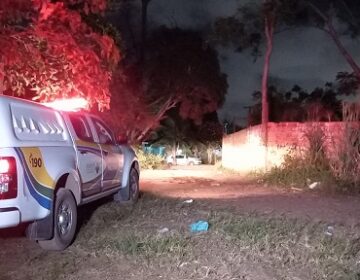 Ladrão invade casa e é atacado por cães de guarda