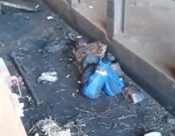 Apenado é torturado por horas dentro de mineradora no Amapá