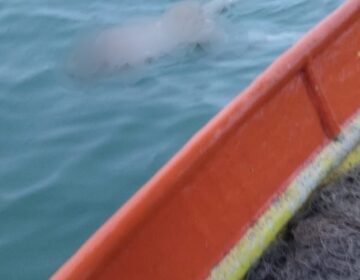 Sobe número de corpos encontrados em naufrágio na Guiana