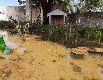 Abandonado, espaço pet ao lado de cemitério acumula água e lixo