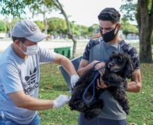 Com 44 mil animais, Macapá tenta imunizar 80% da população canina