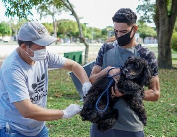 Com 44 mil animais, Macapá tenta imunizar 80% da população canina