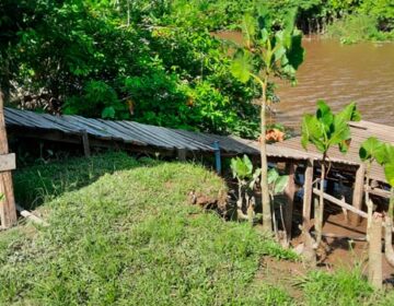 Terras Caídas: Vereador alerta para aumento da destruição em comunidades; OUÇA