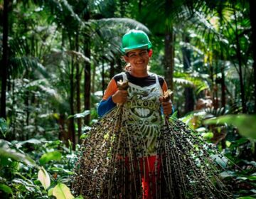 Caso Dom e Bruno: os ataques ao modelo econômico que a Amazônia precisa