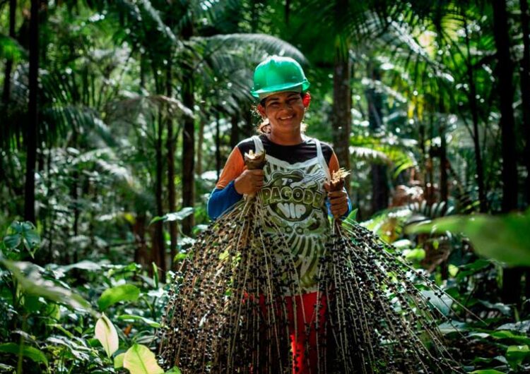 Caso Dom e Bruno: os ataques ao modelo econômico que a Amazônia precisa