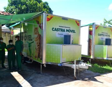 Liberado pelo Conselho de Veterinária, Castramóvel começa a operar cães e gatos