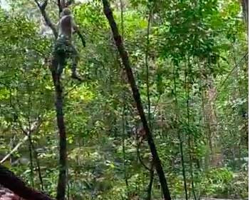 Suposta esposa de homem achado em árvore presta depoimento