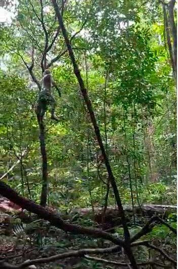 Macabro: Corpo é encontrado pendurado em árvore em área de garimpo