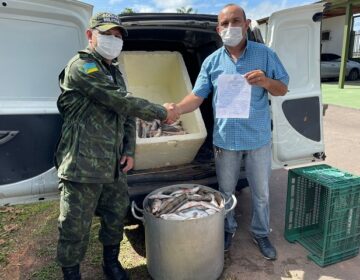 270 Kg de pescado ilegal são apreendidos pela PM e doados a instituições de caridade