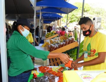 Do café de açaí à torta de jaca, Feira do Cooperativismo mostra produtos e serviços no Amapá