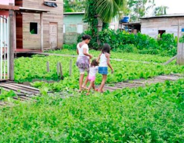 Para ajudar mães em desespero, grupo precisa de voluntários para blitz em atacarejos