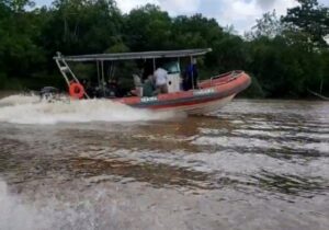 operação desmatamento rio mazagão (2)