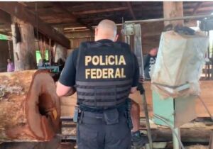 PF prende madeireiro em Porto Grande