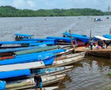 AP reforça vigilância após confirmação de raiva em pescador atacado por macaco em Oiapoque
