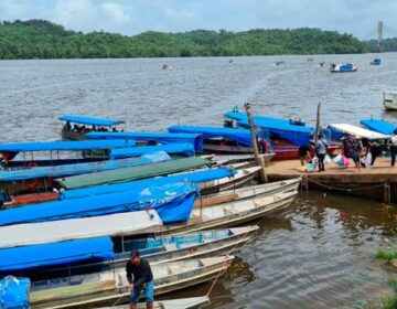 AP reforça vigilância após confirmação de raiva em pescador atacado por macaco em Oiapoque