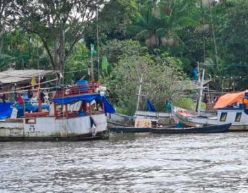 Pescadora do Amapá perde ação em que pedia indenização da Junta Comercial de São Paulo