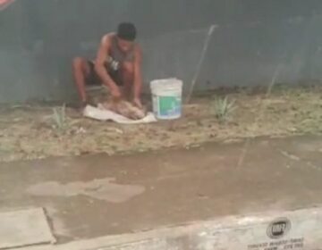 VÍDEO: homem tira couro de cachorro na rua em Santana