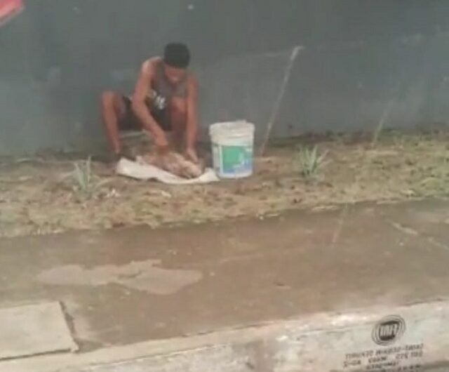 VÍDEO: homem tira couro de cachorro na rua em Santana