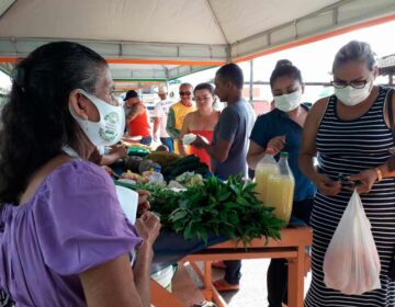 Em Pedra Branca, feira estimula produção e consumo de vegetais sem agrotóxicos