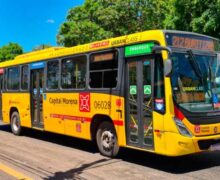Licitação dos ônibus: Expresso Marco Zero tem liminar negada