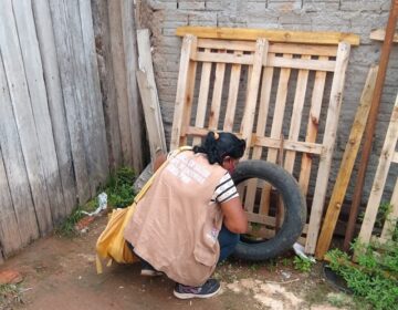 Amapá reduz Zika e chikungunya, mas dengue avança