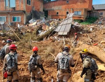 Bombeiros e cadela do AP iniciam buscas em Petrópolis-RJ